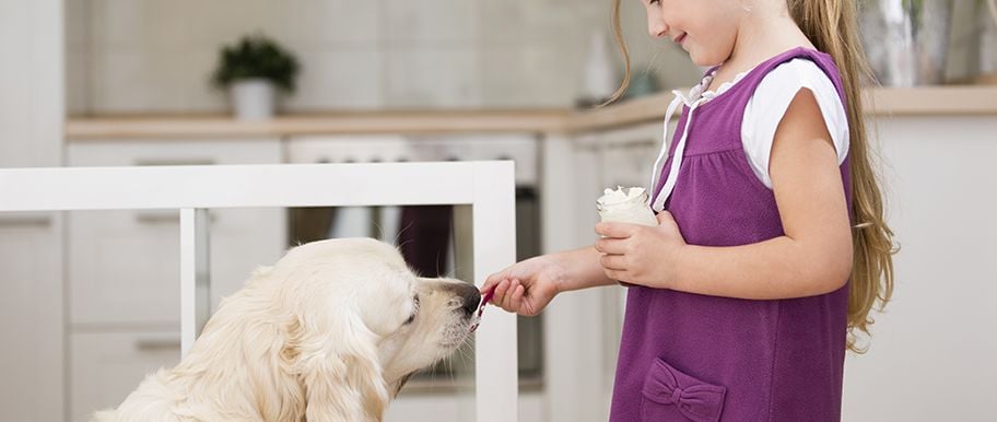 Donner du yaourt à son chien